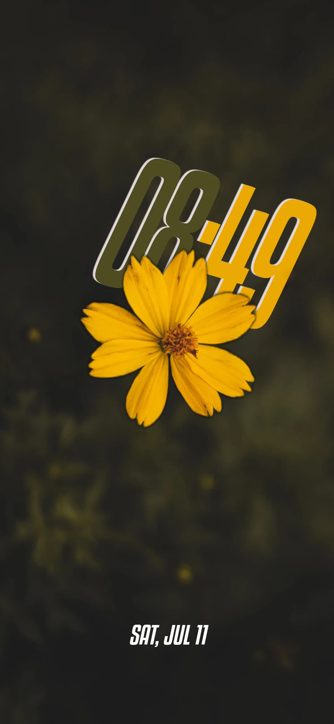 Wallpaper 1c05a506-68bc-45cc-a827-f00902bd5ea0