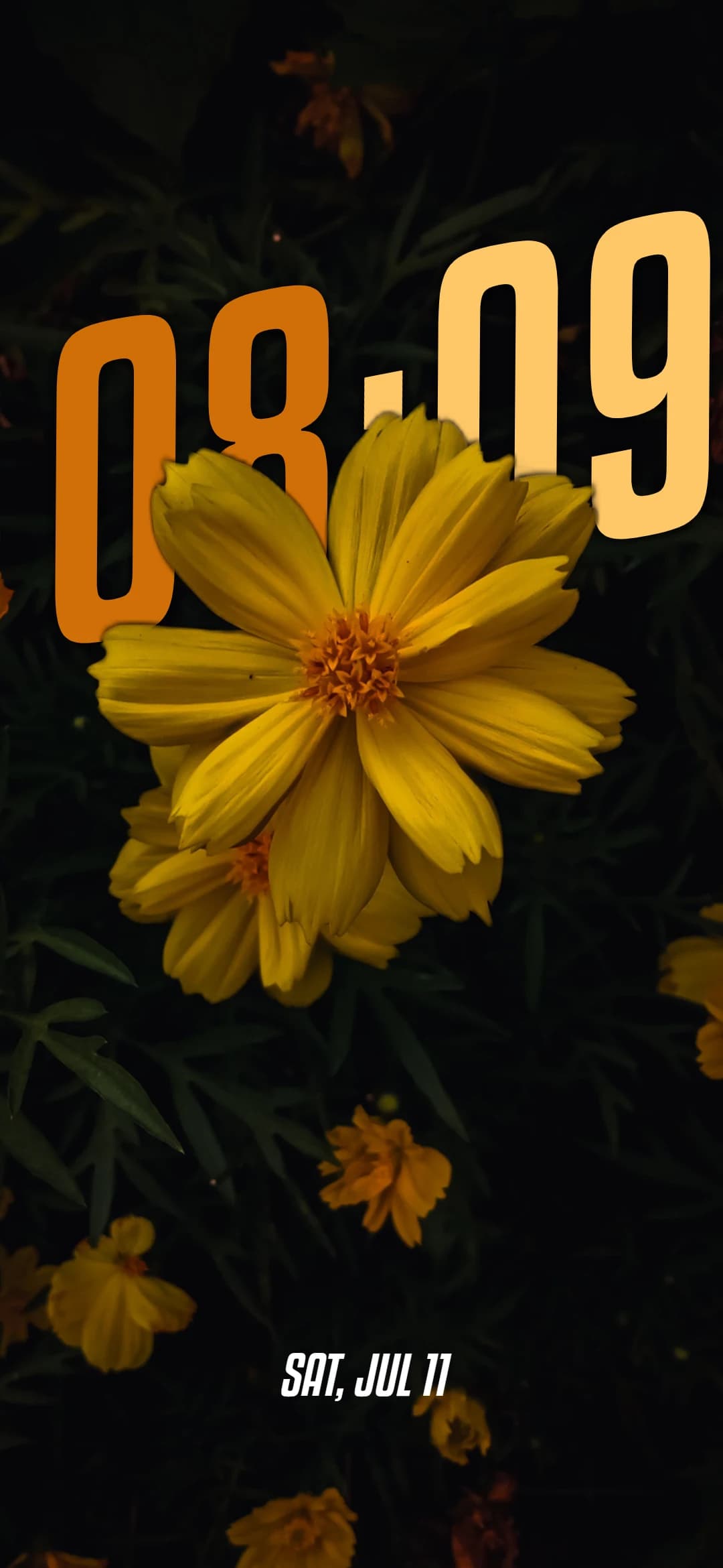 Wallpaper 8bc7adf4-660d-44f0-984e-d50add1e0f04