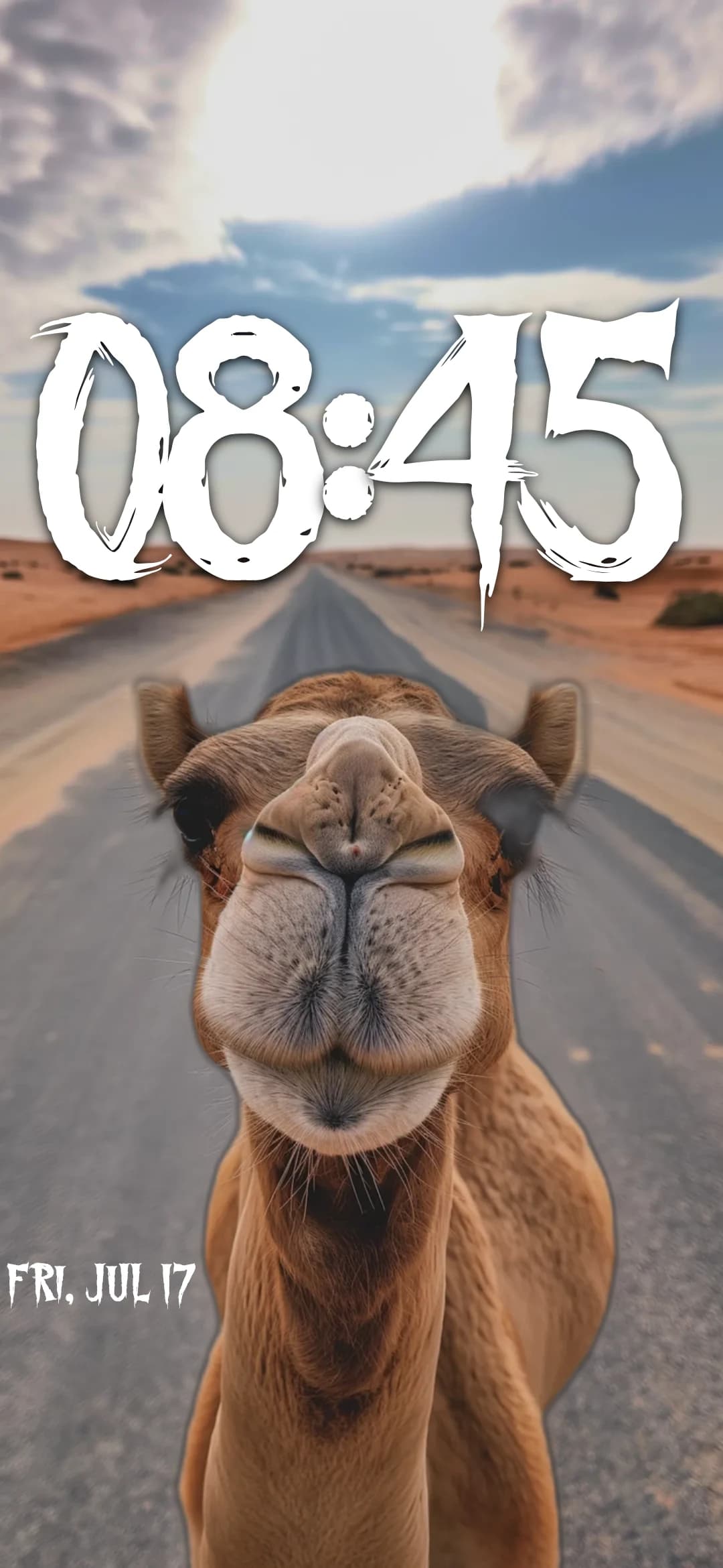 Wallpaper 9e7408cf-a3b2-4406-98e7-a4b45bdb9b95